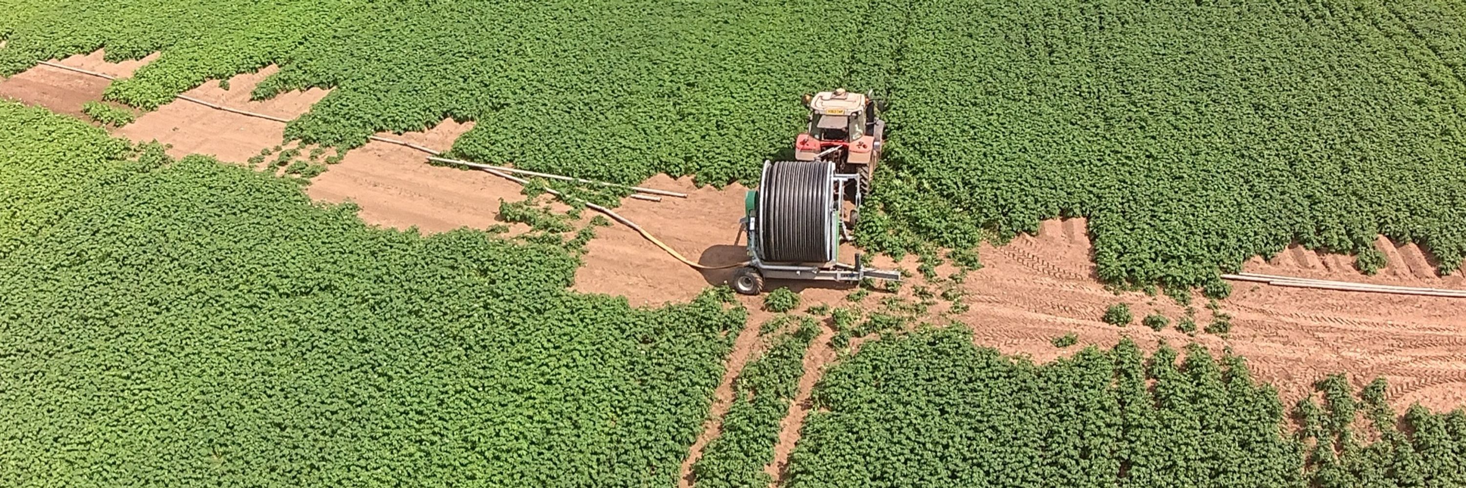 TheFarmingTom 