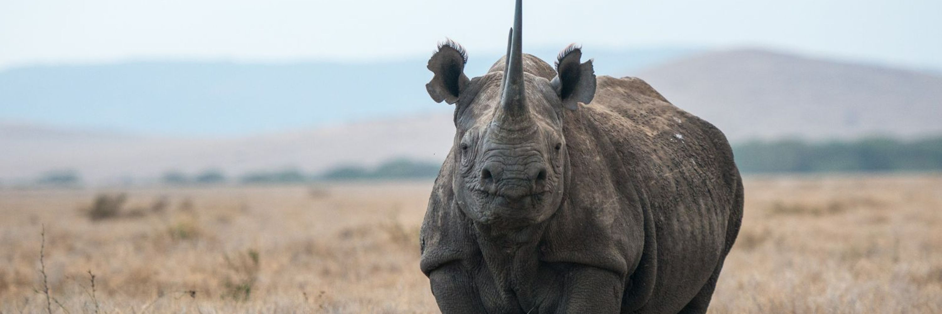 Connected Conservation Foundation