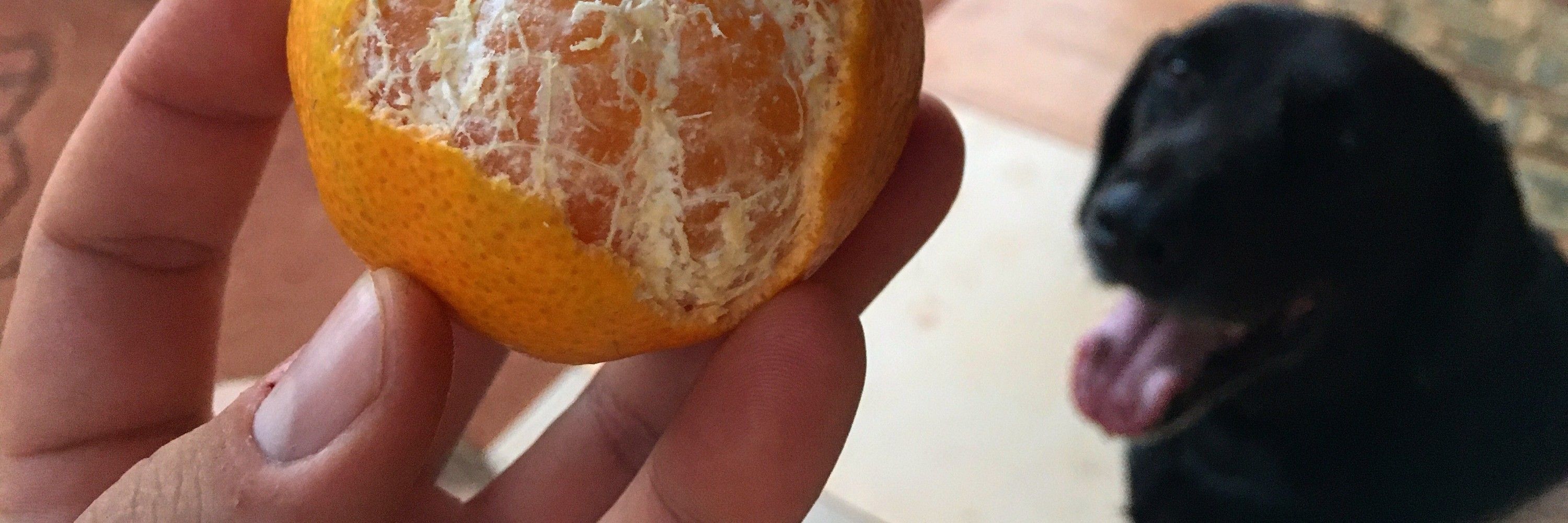 Silócas Marócas
