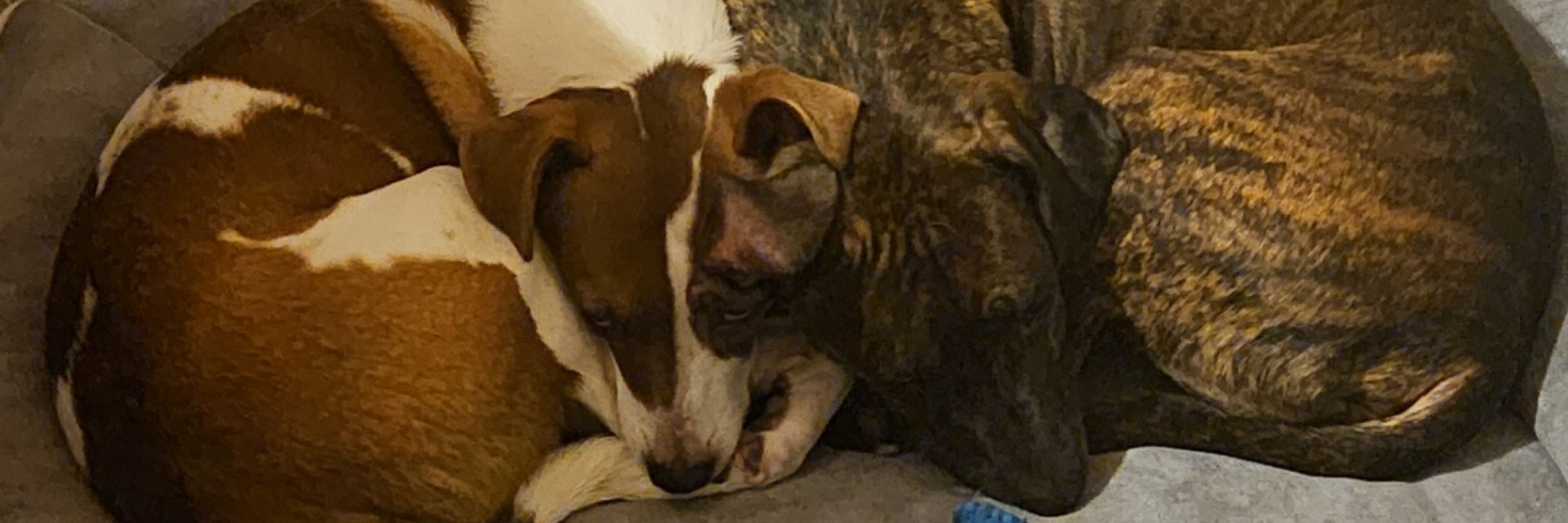 Des