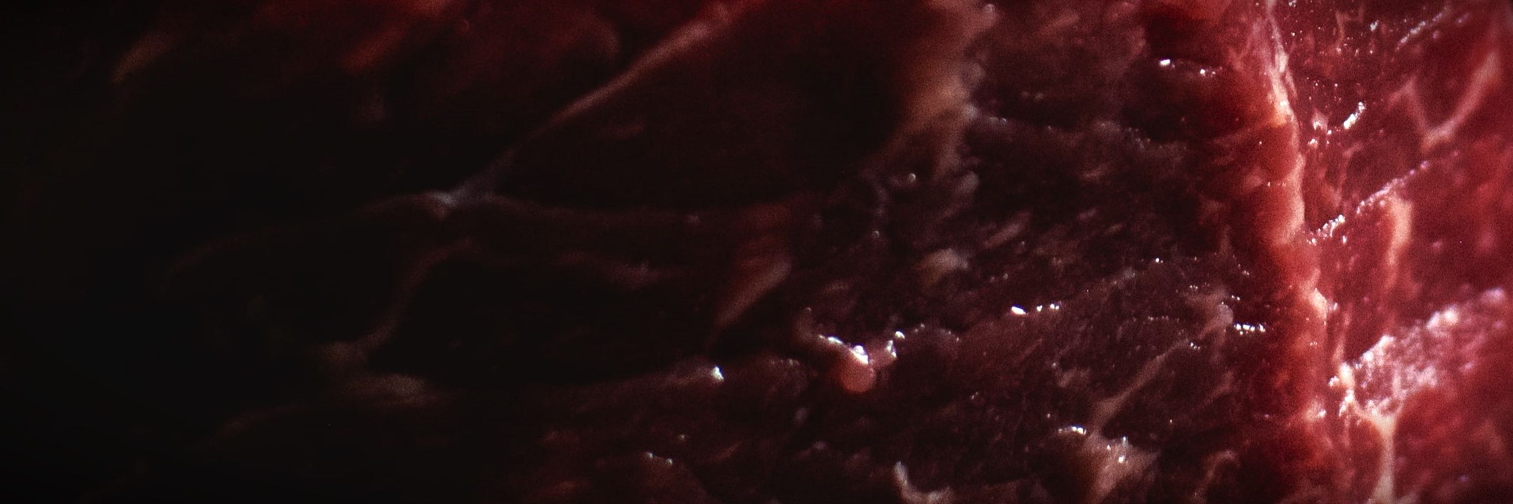 mysterymeat