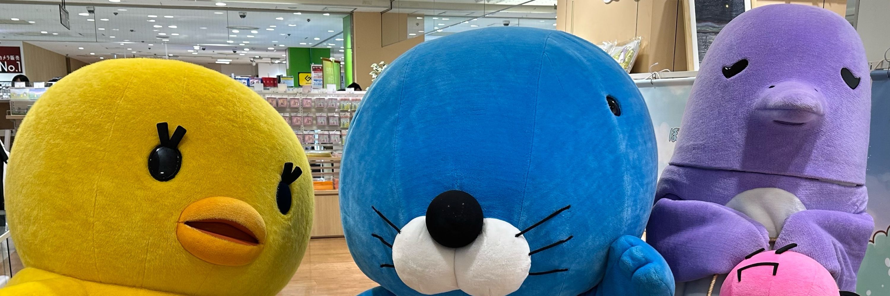 くー