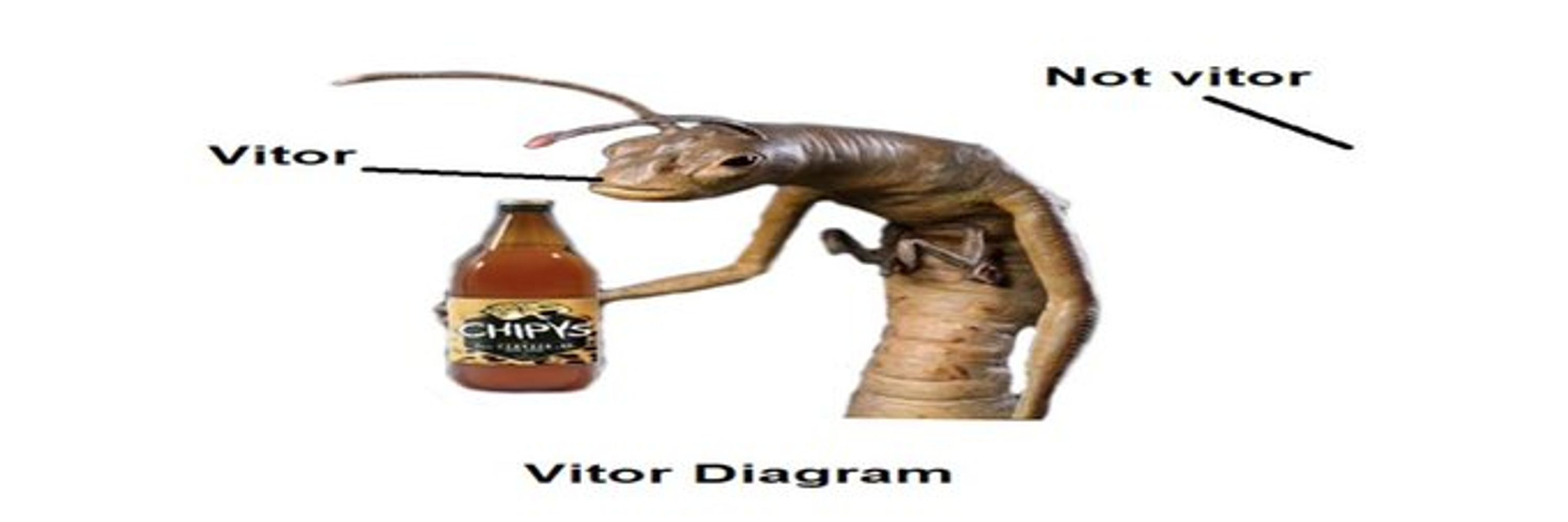 el vitor