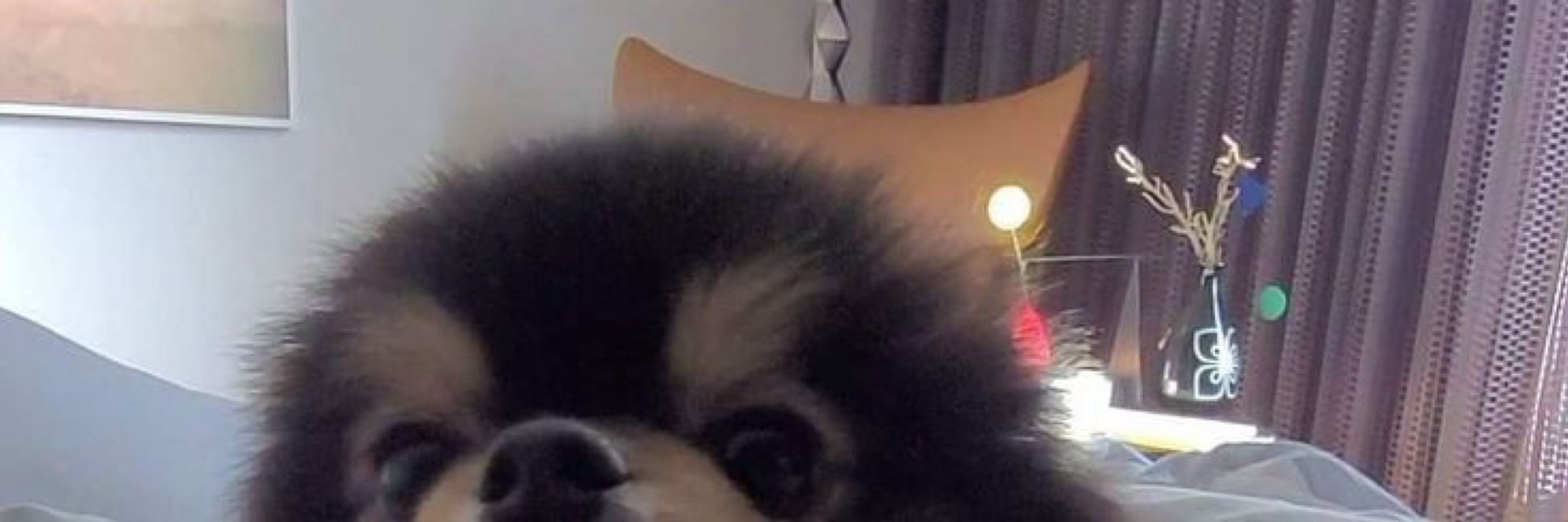 Helo 