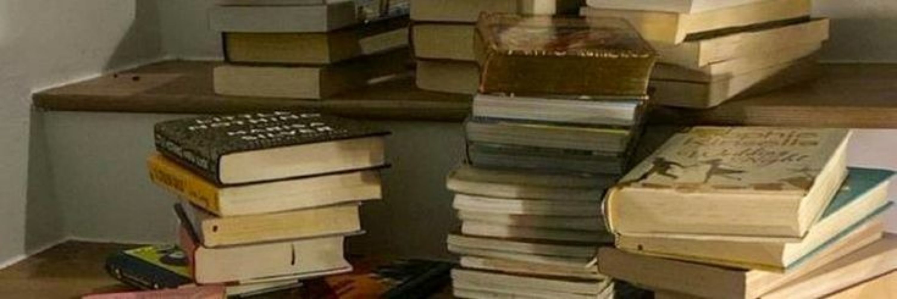 Jude obcecada por livros📖