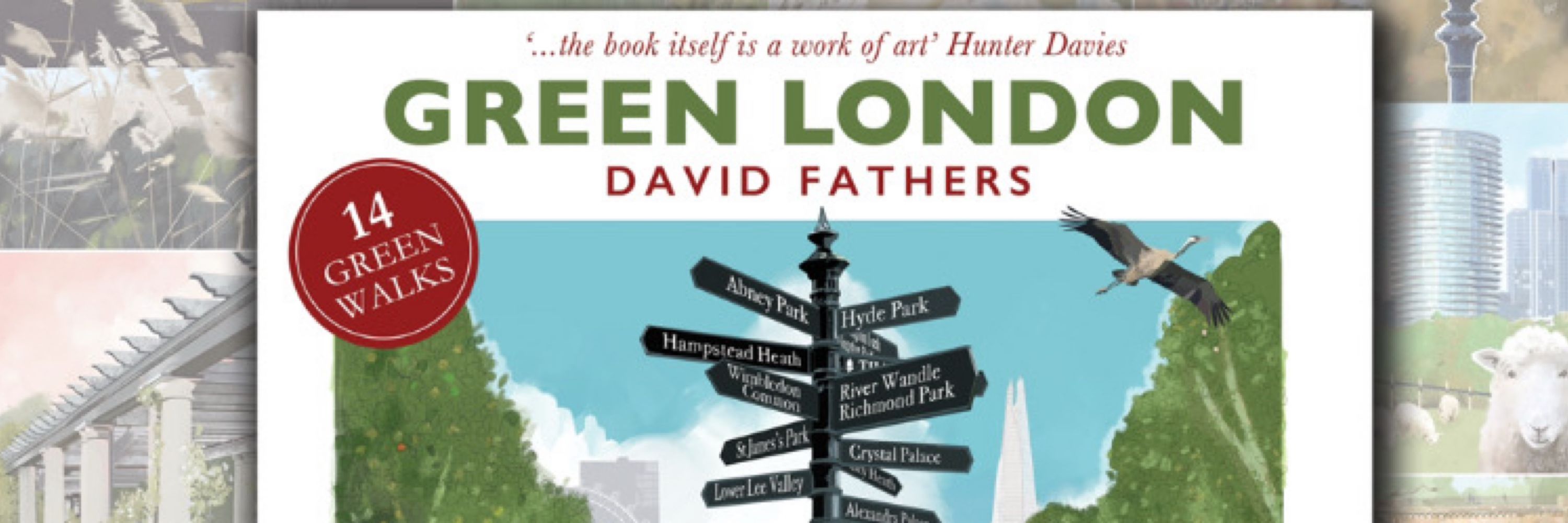 David Fathers