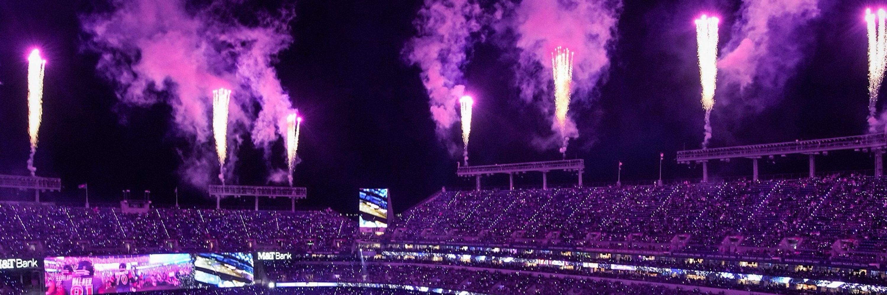 TerryGrandyRavensFlock