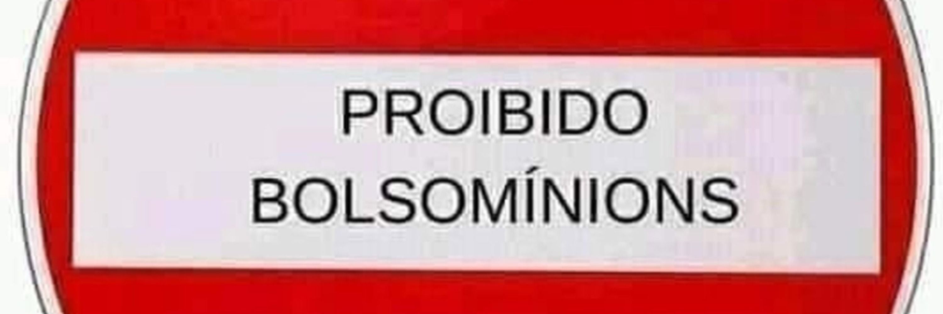 Viúva do Twitter 