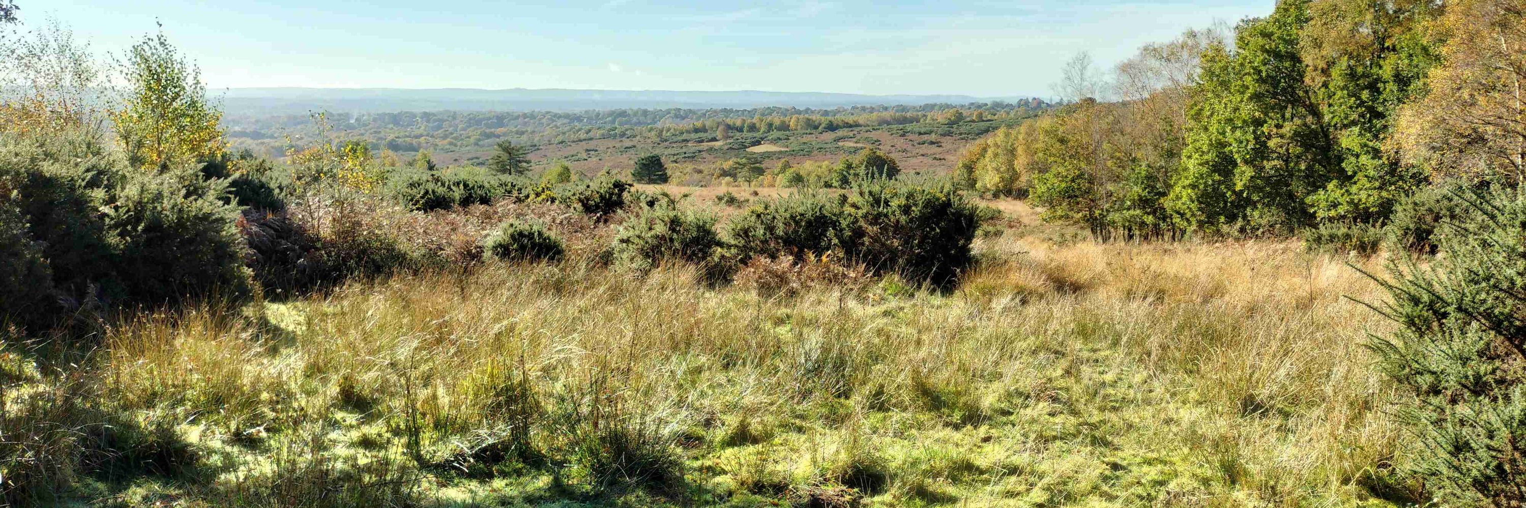 Keld Orum