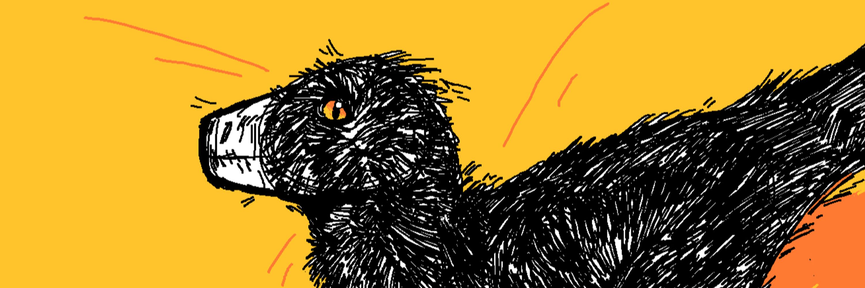Canis