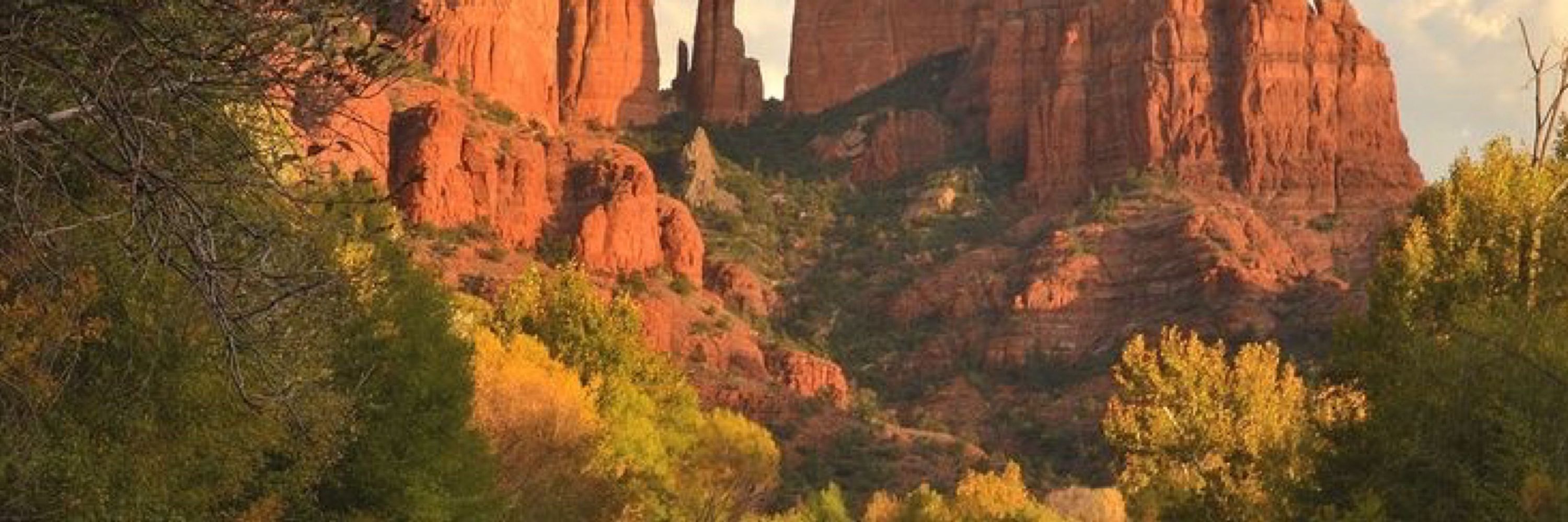 Canyon!
