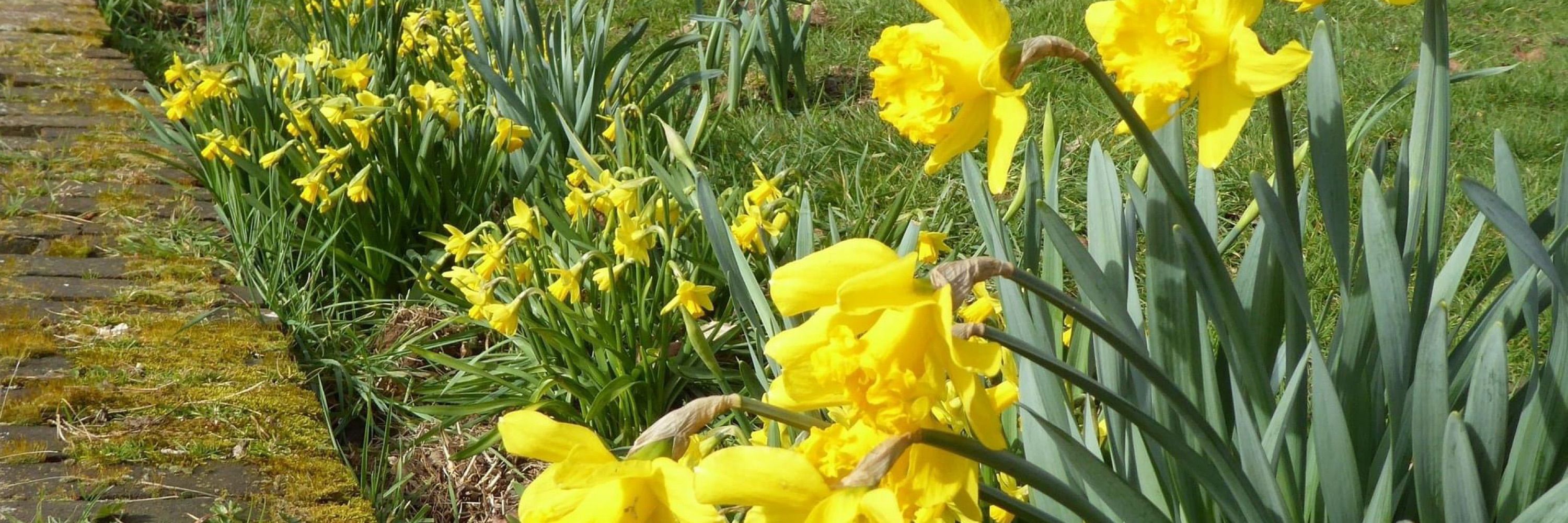 National Garden Scheme