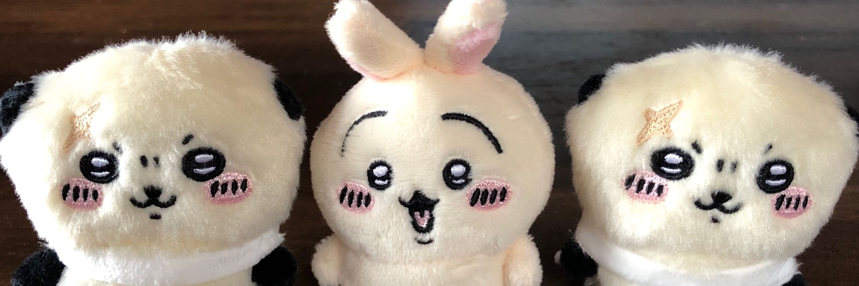 梅🐾