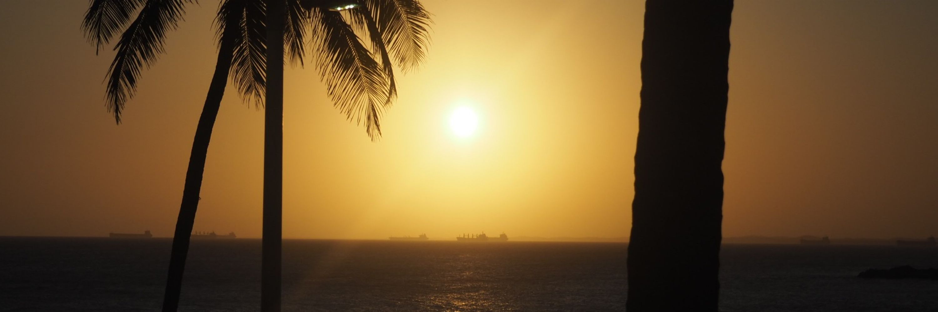 Sol Loiro 