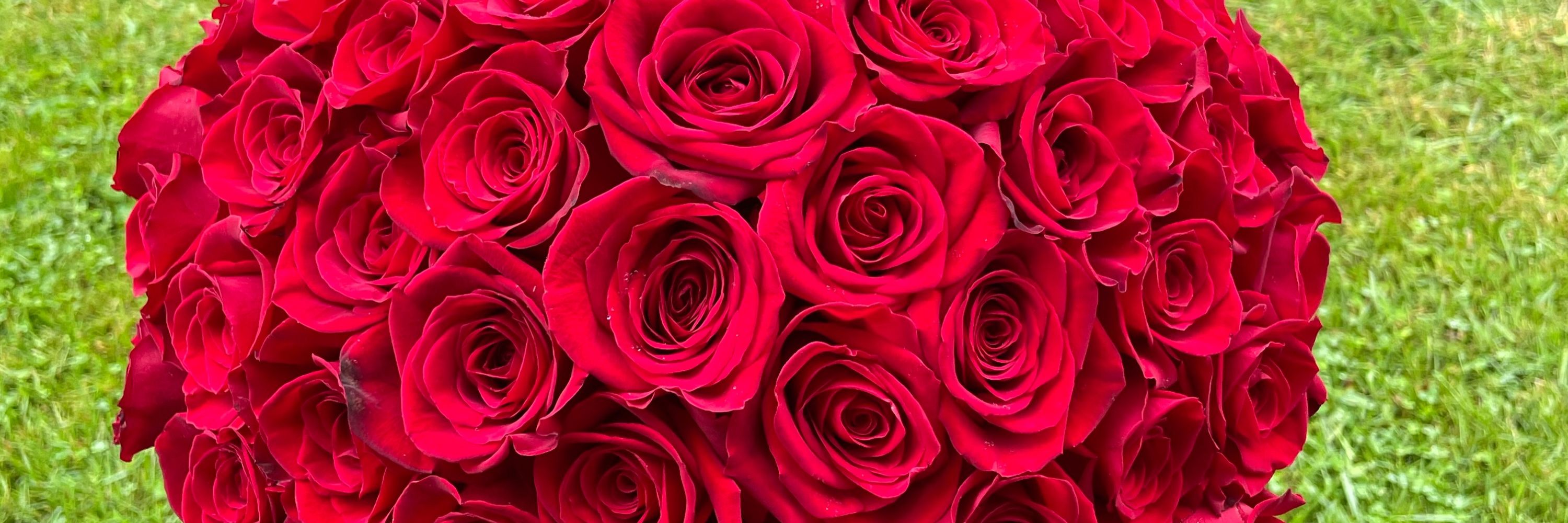 Pookquet🌹