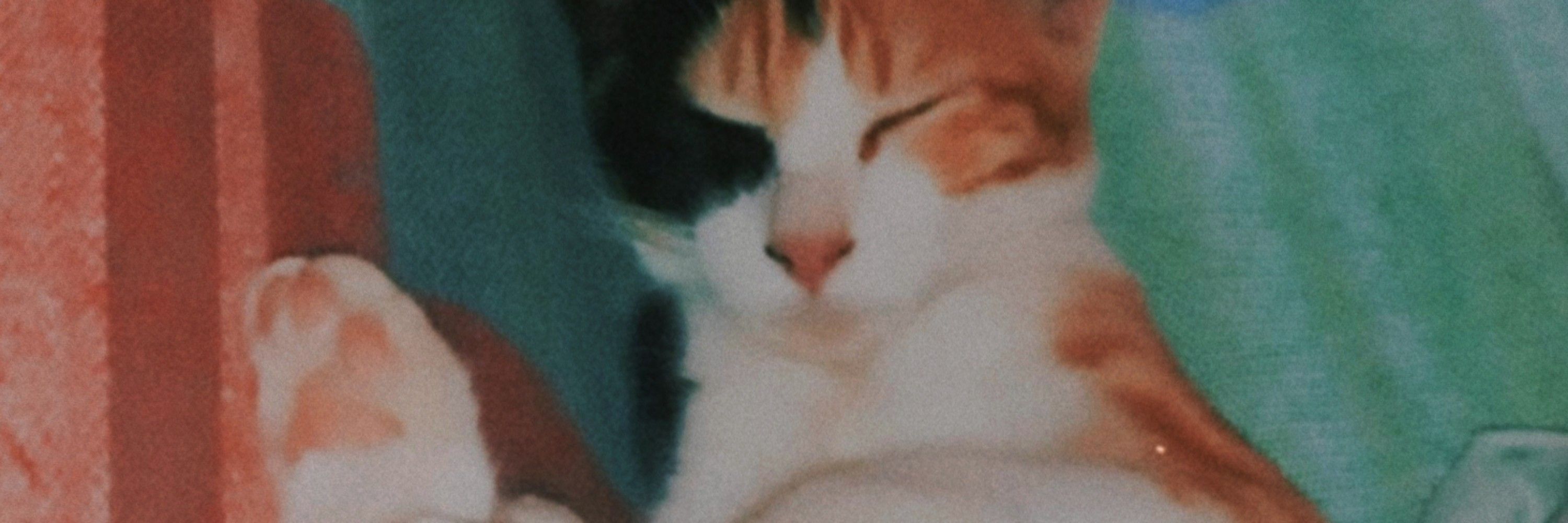 𝕯𝖆 𝕷𝖚𝖆 ☽