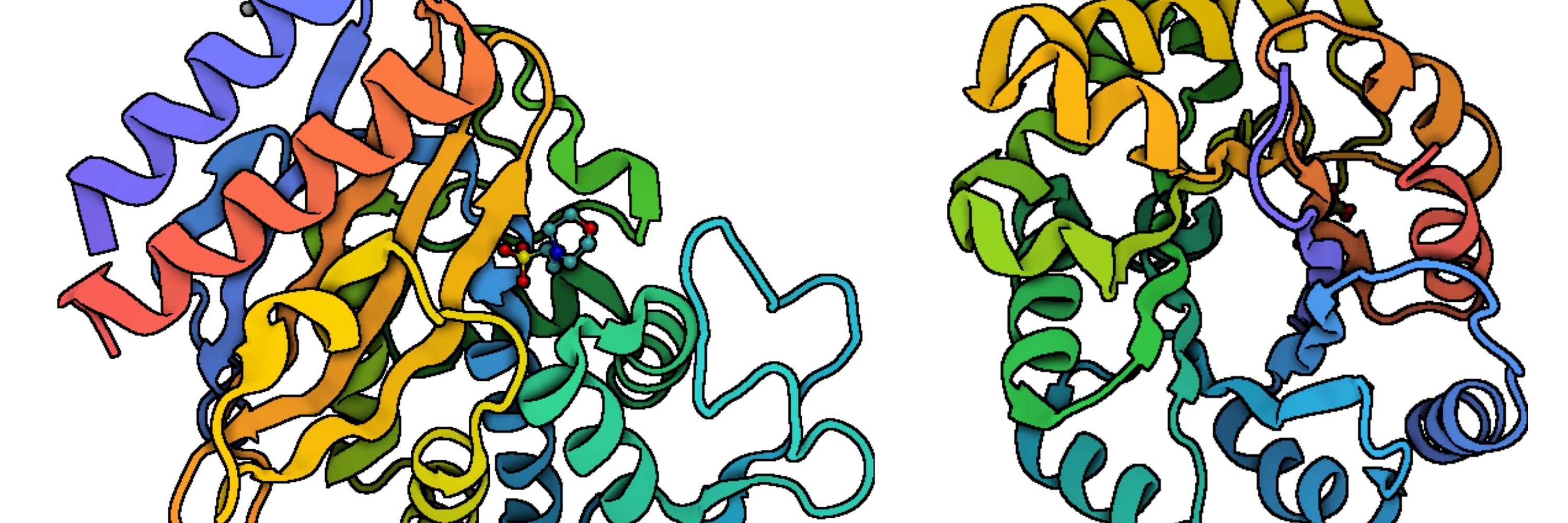 Toth-Petroczy lab
