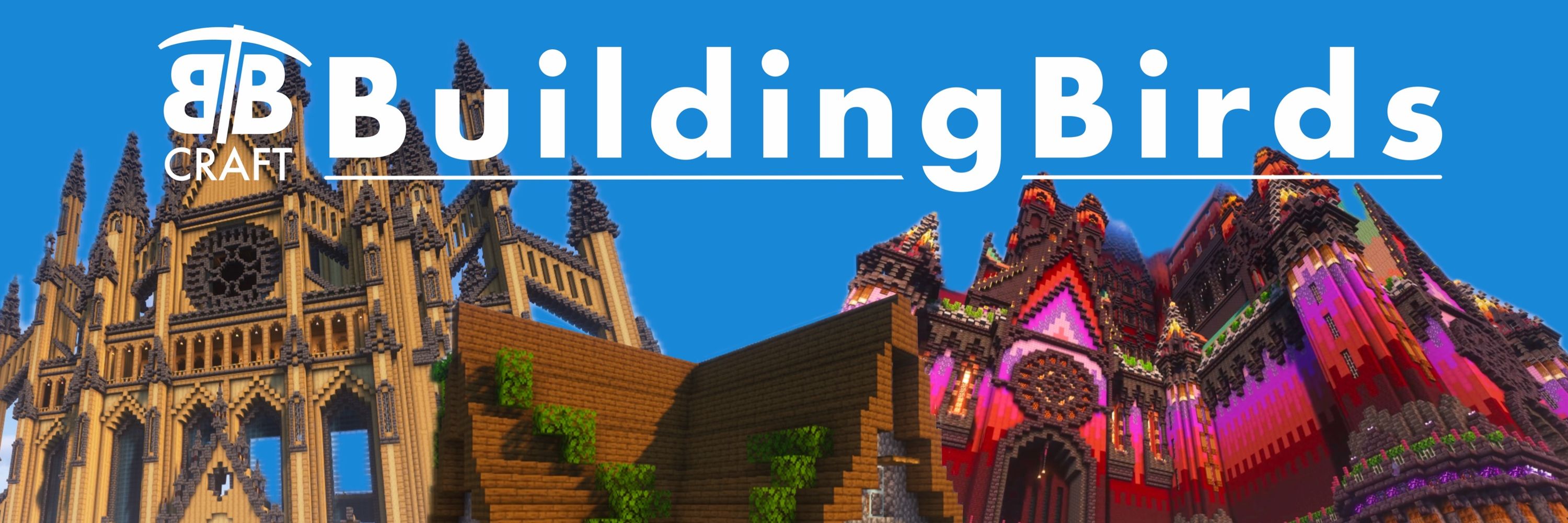 BuildingBirds