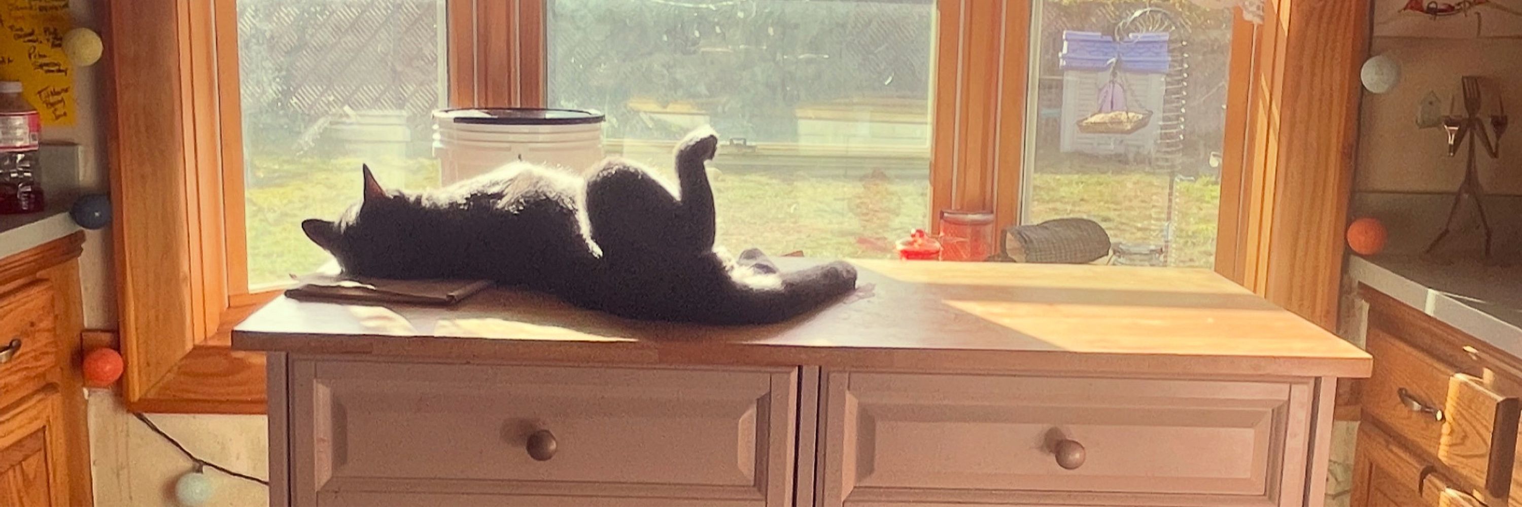 SipsySips
