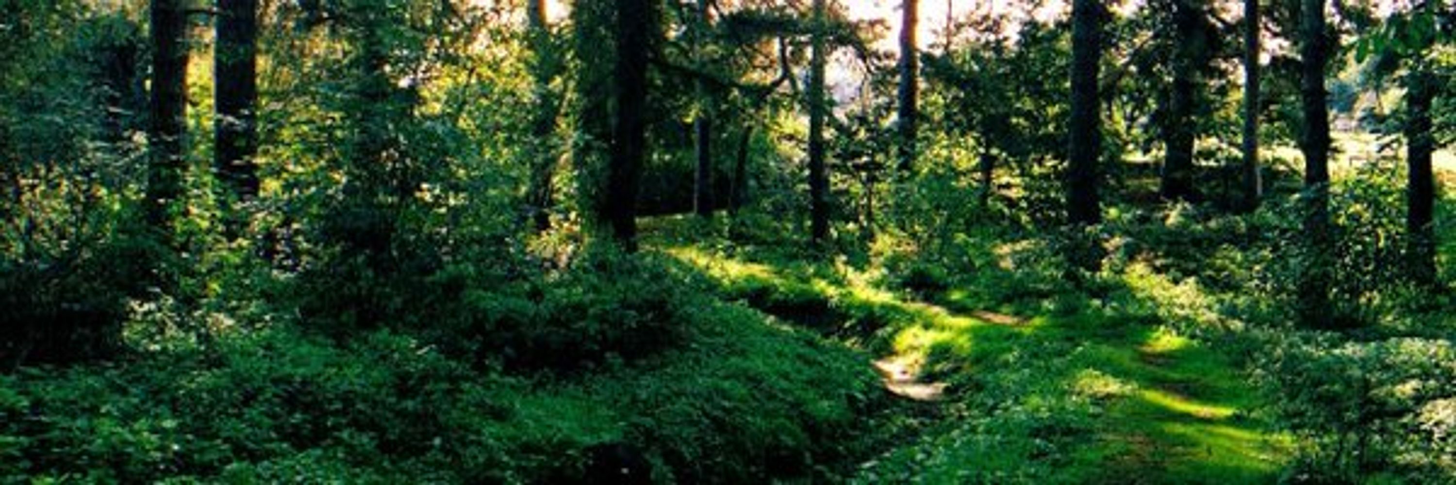 Guidance for Life on Earth