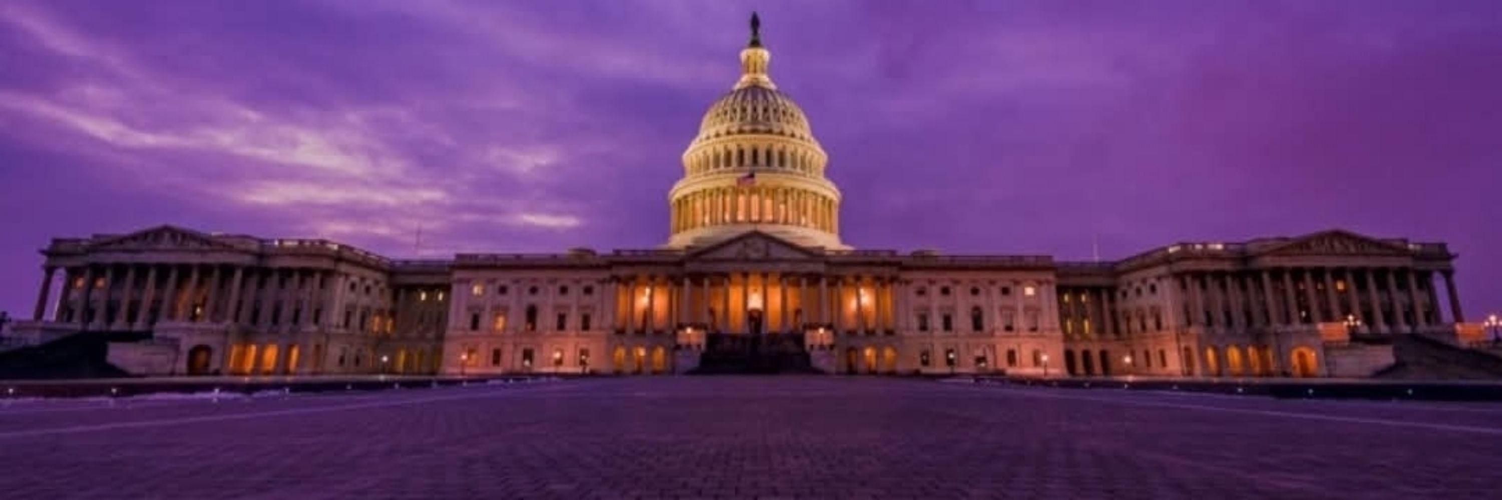 The Policy Geek