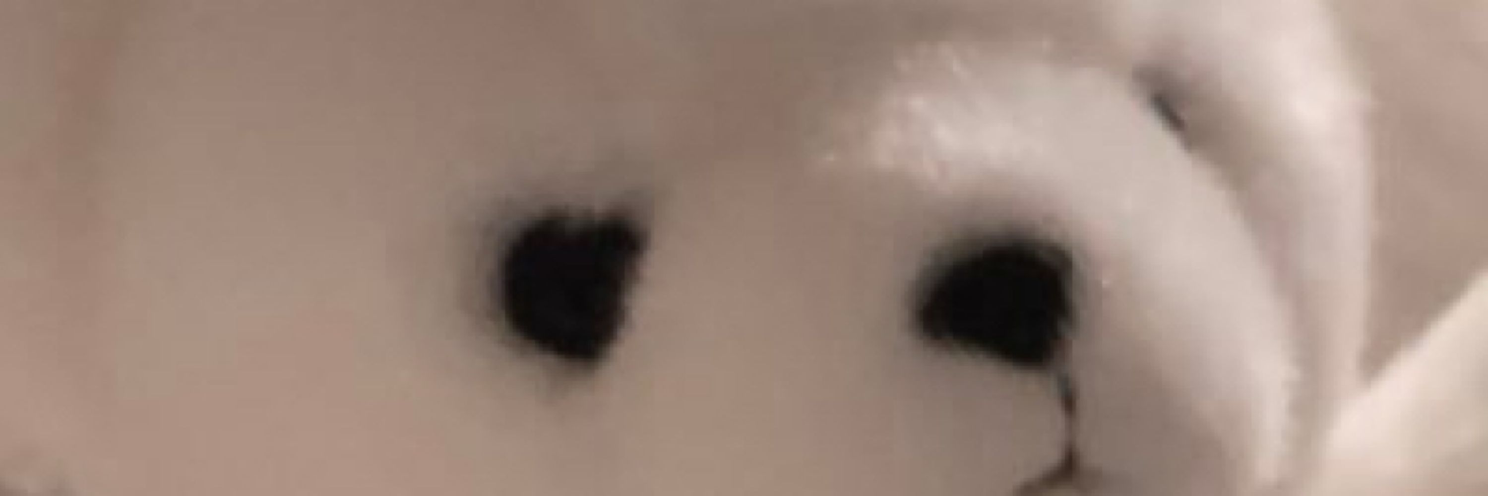 ん所