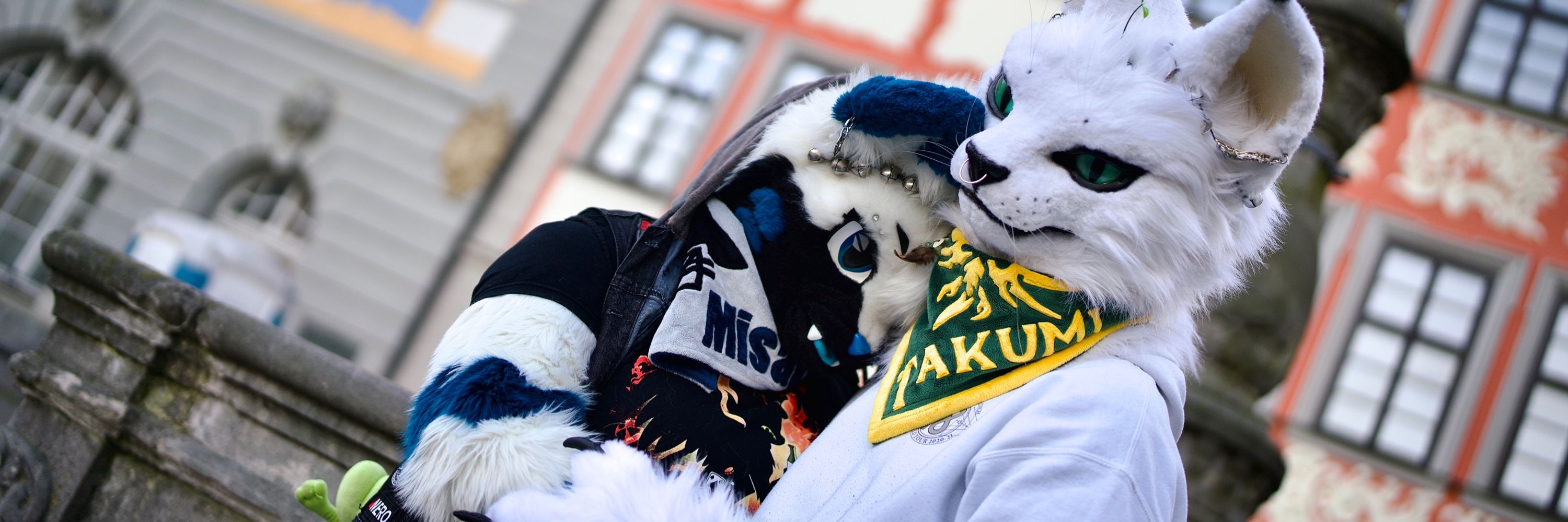 🐺Misaki🐾