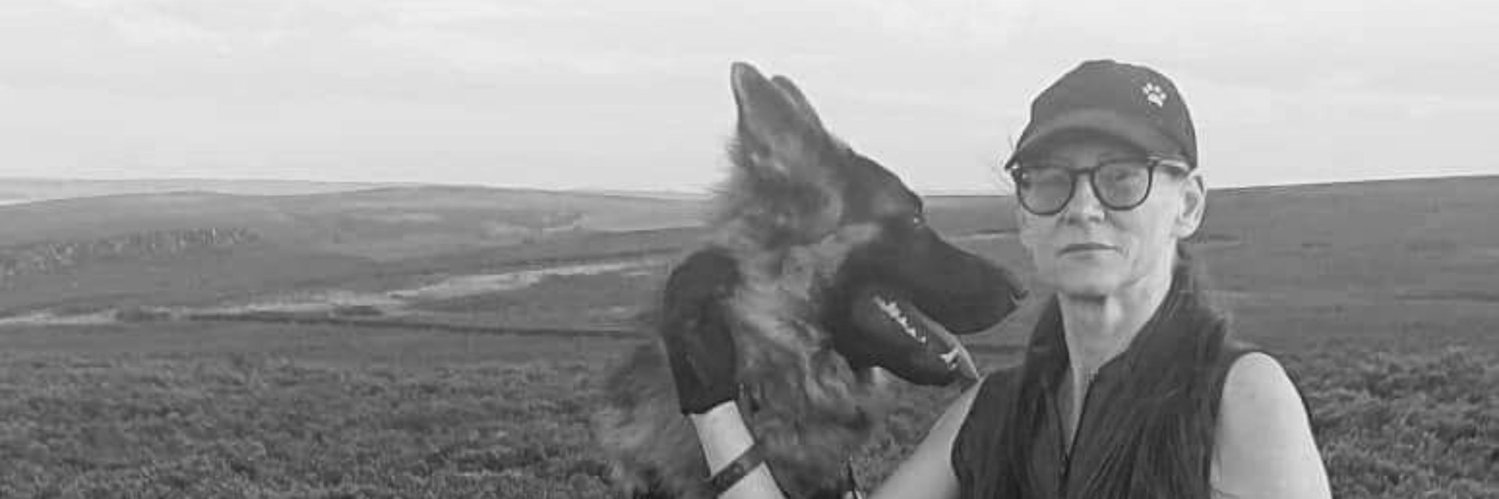 Assistance Dog Thor GSD