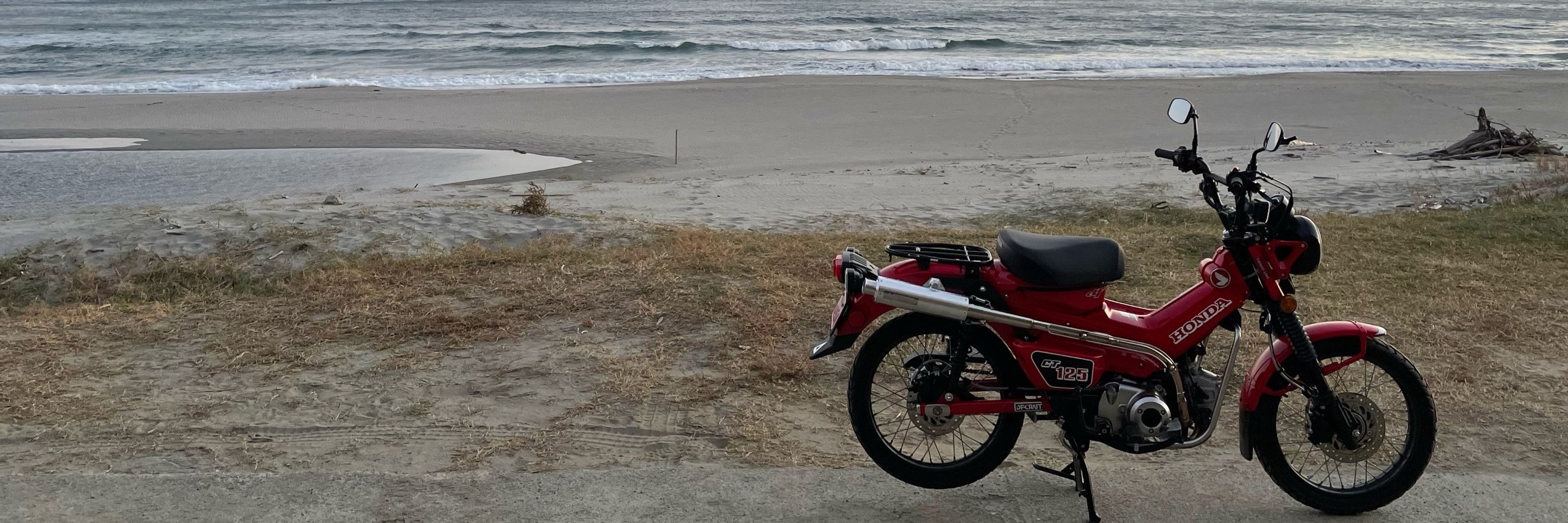 motortoon