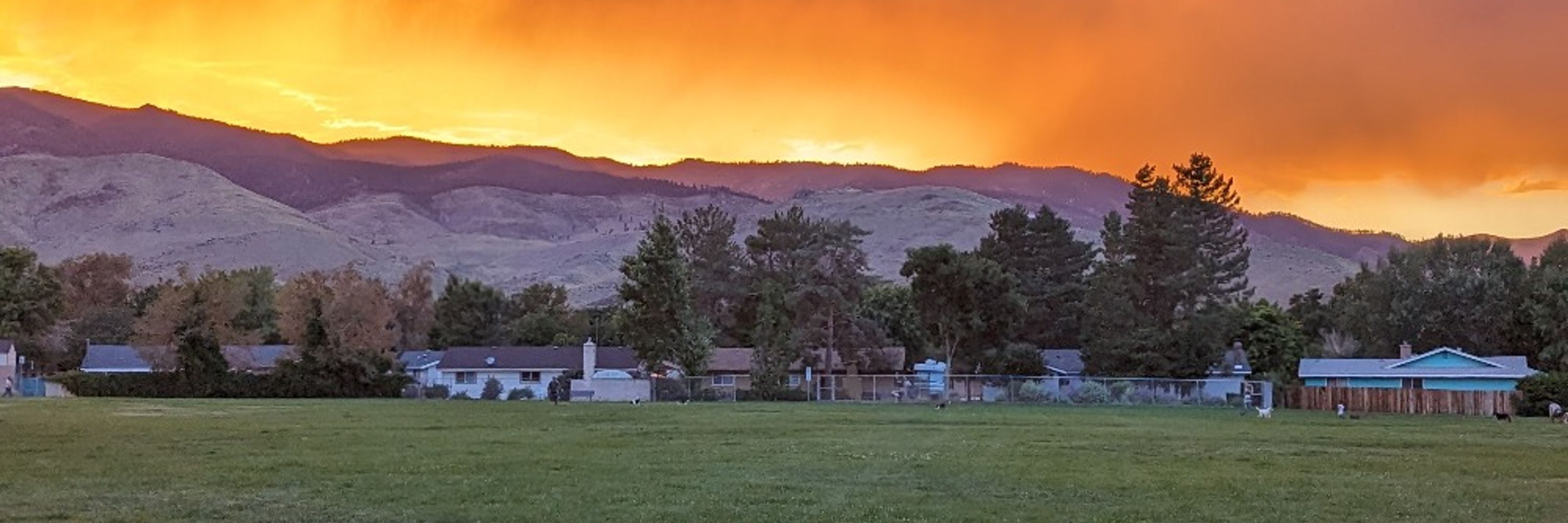 Homa