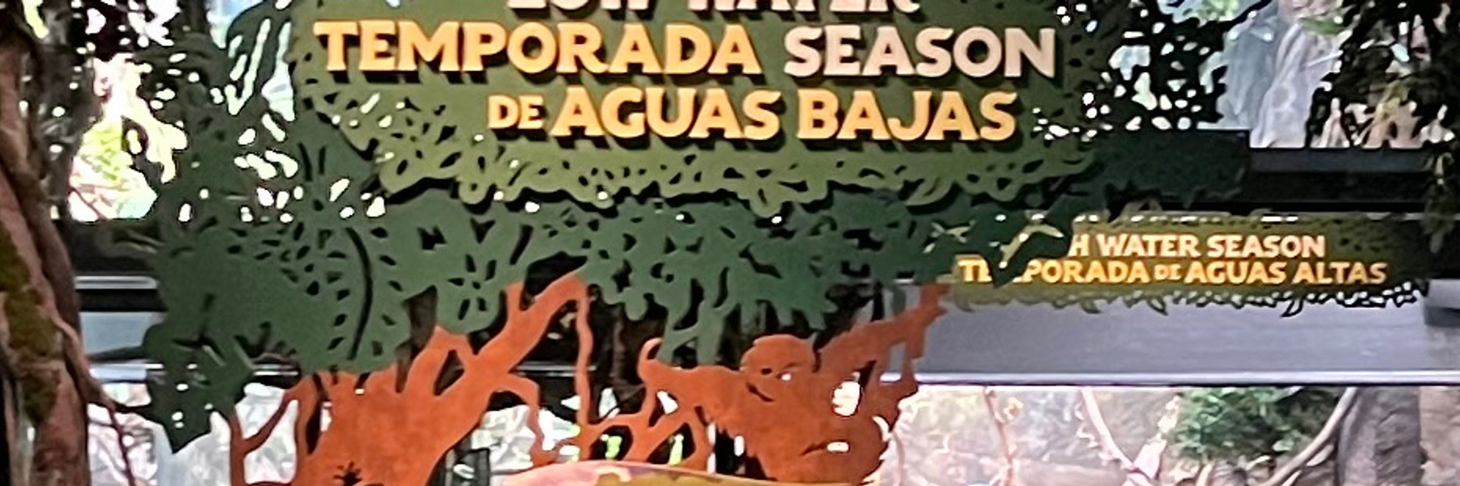 Atmas🔜MFF’24