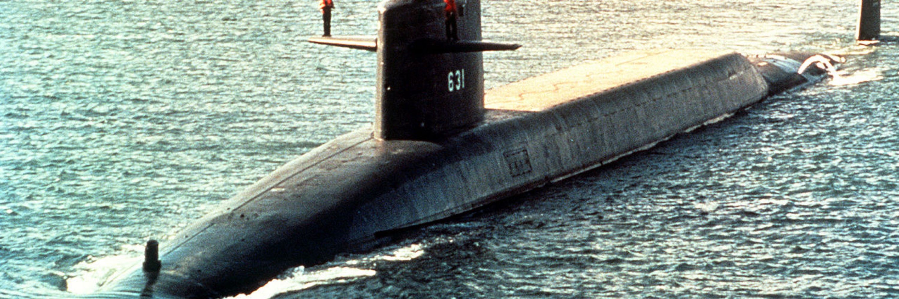 Subvet