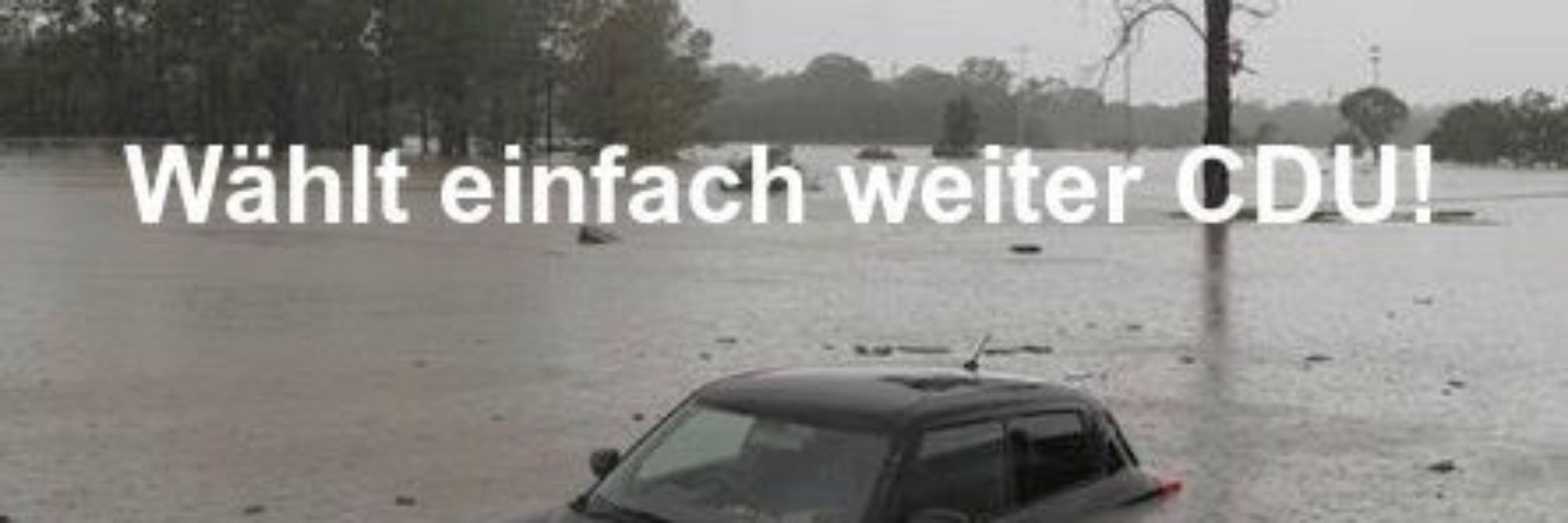 zfx Volxfahrräderverleih☆
