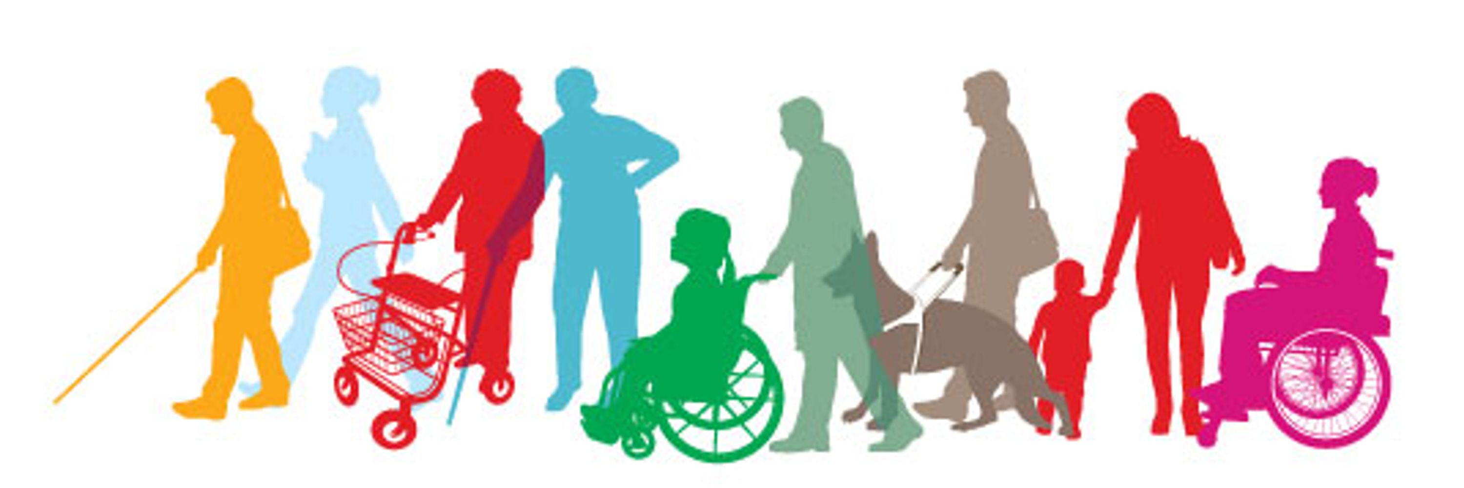 Disability Federation of Ireland