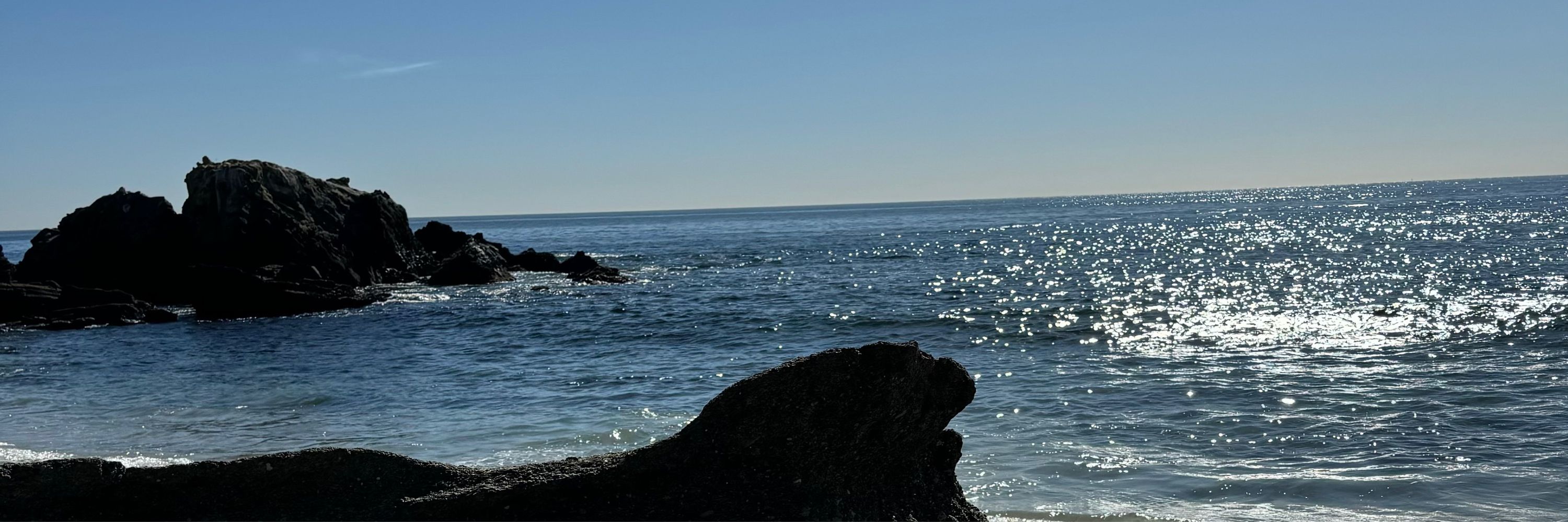 CHinSoCal