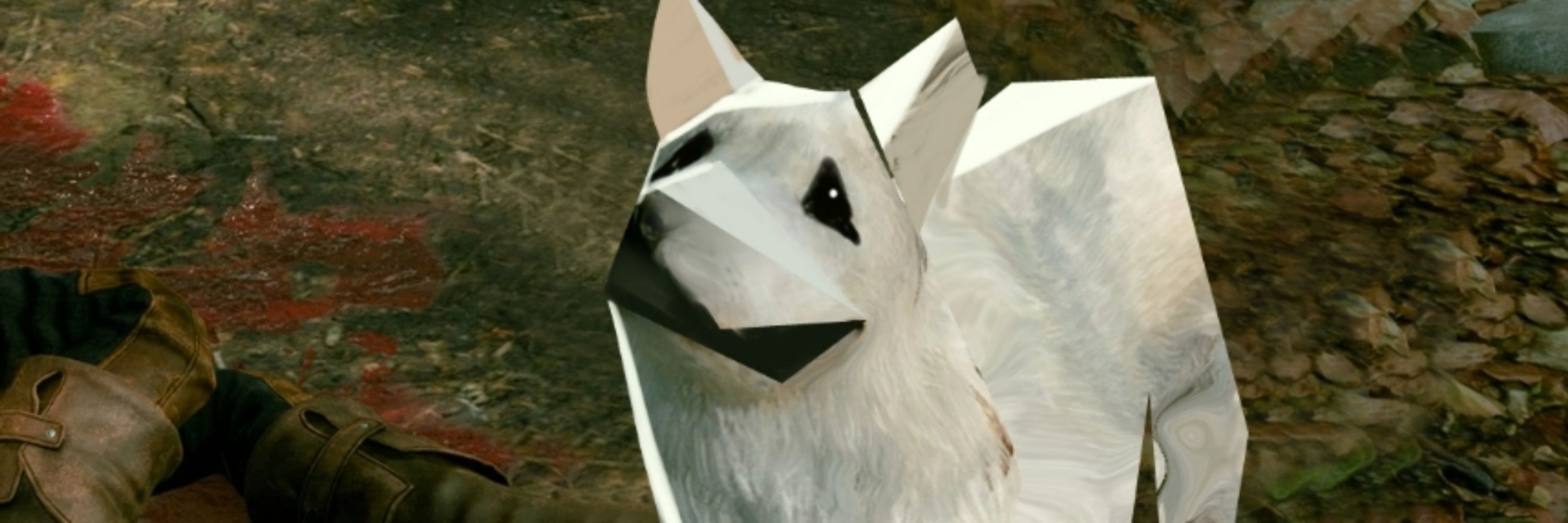 Echo