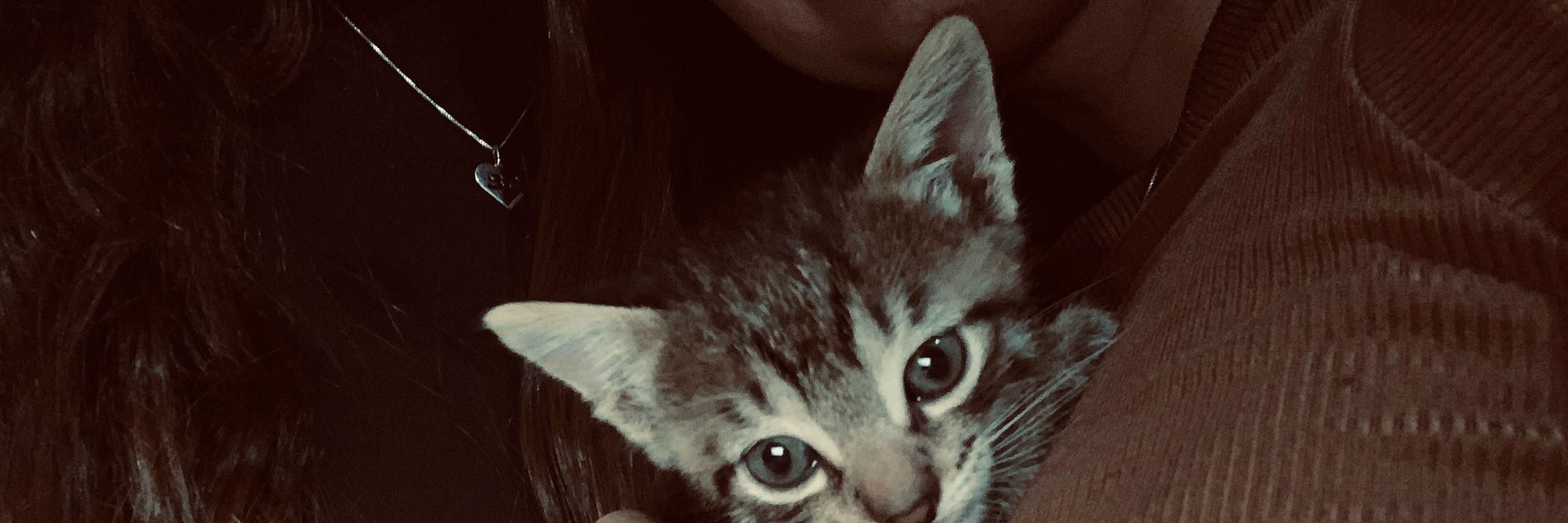 Barbarazinha