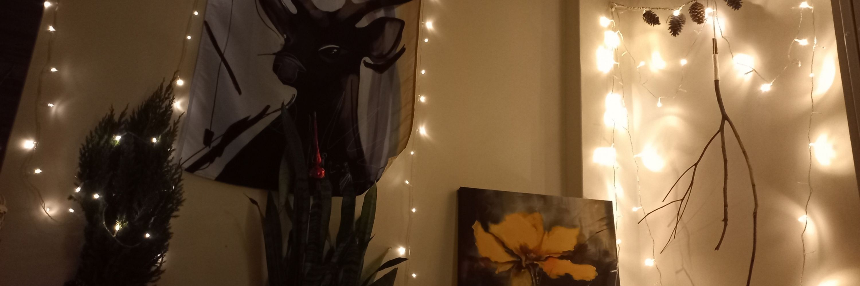 Lírio 🌙