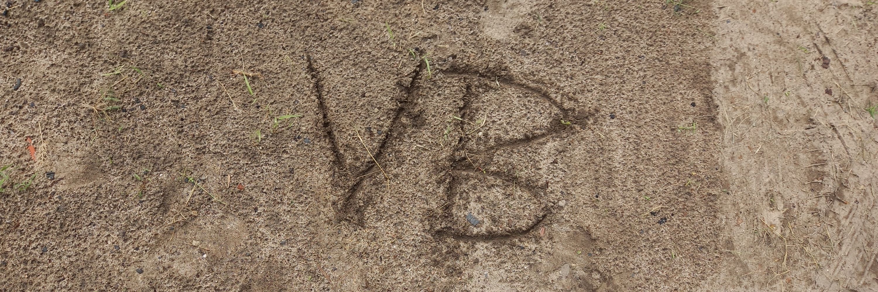 Vn_✨️