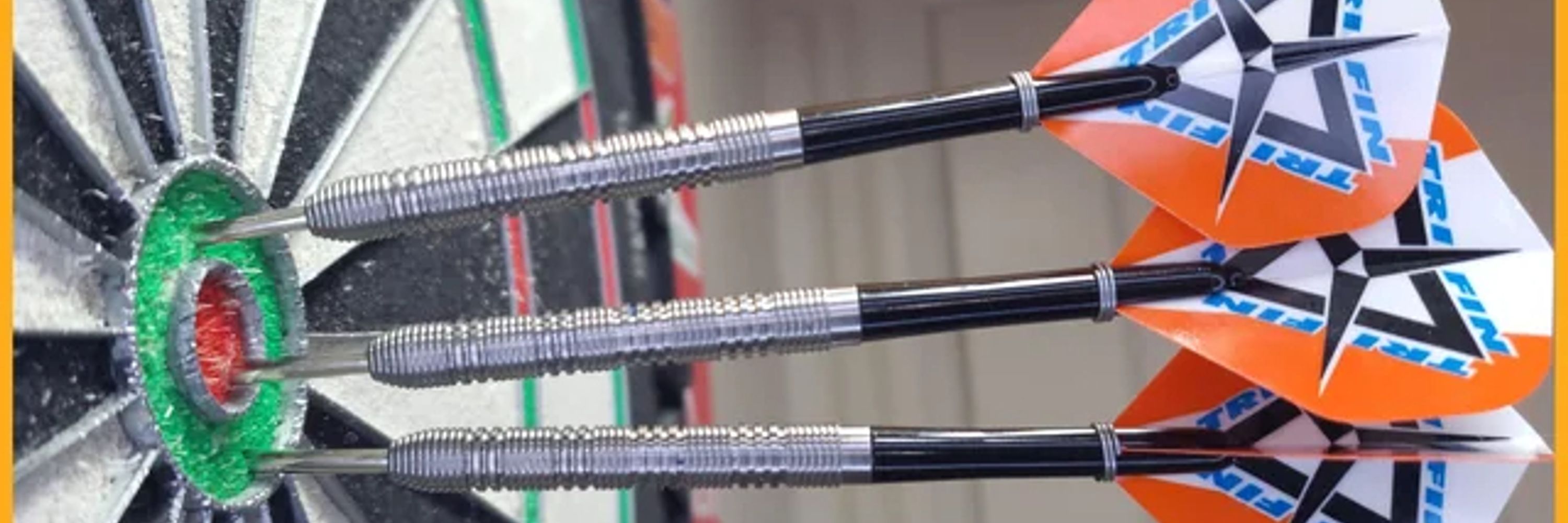 Darts Is Life