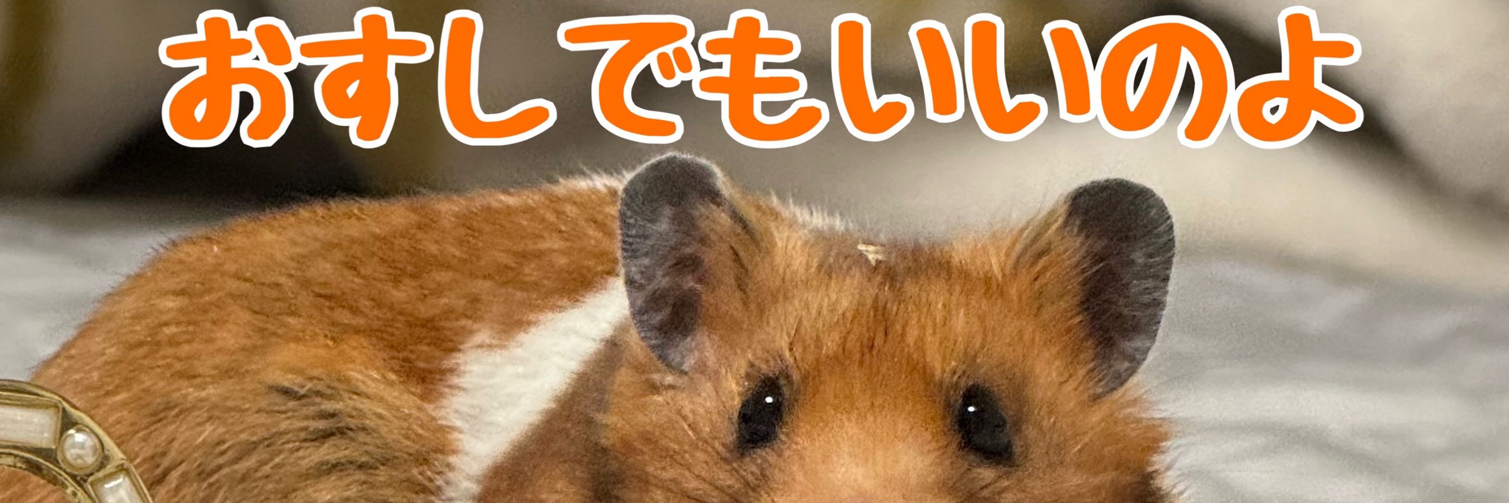 じゅんじゅん