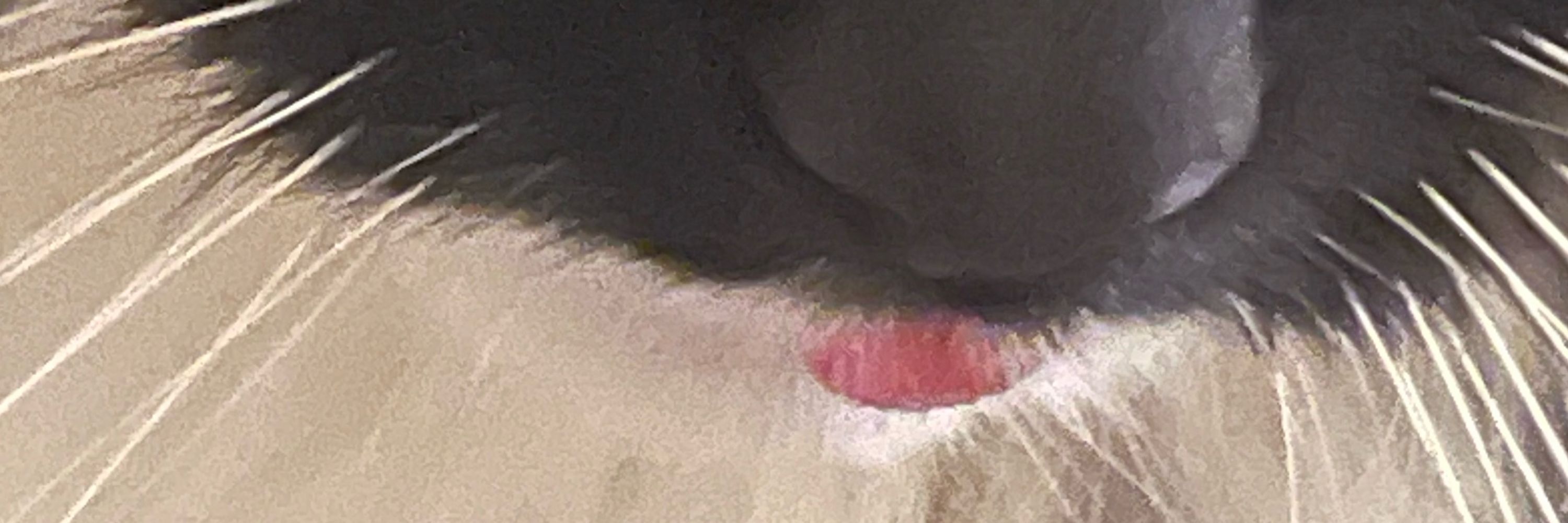 Lu