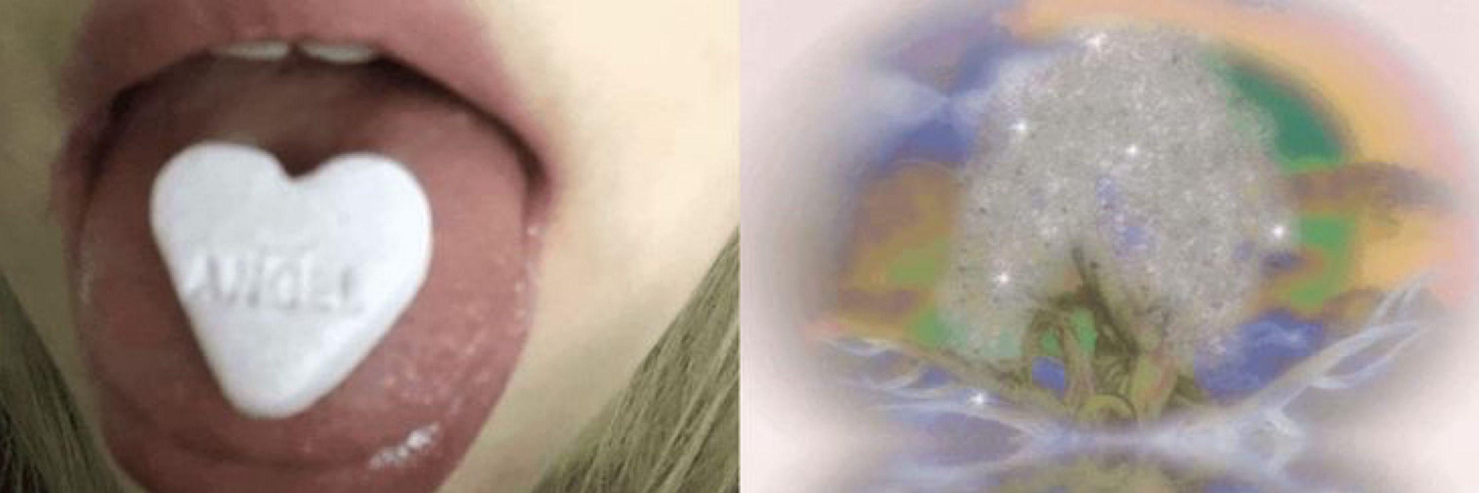 𝘦𝘭𝘭𝘪𝘦