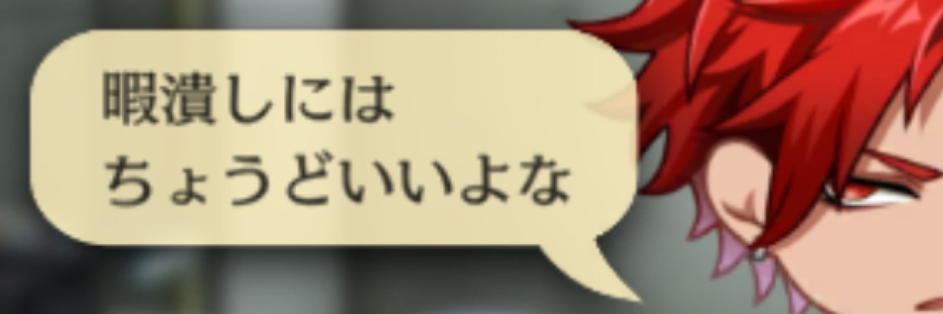 和猫