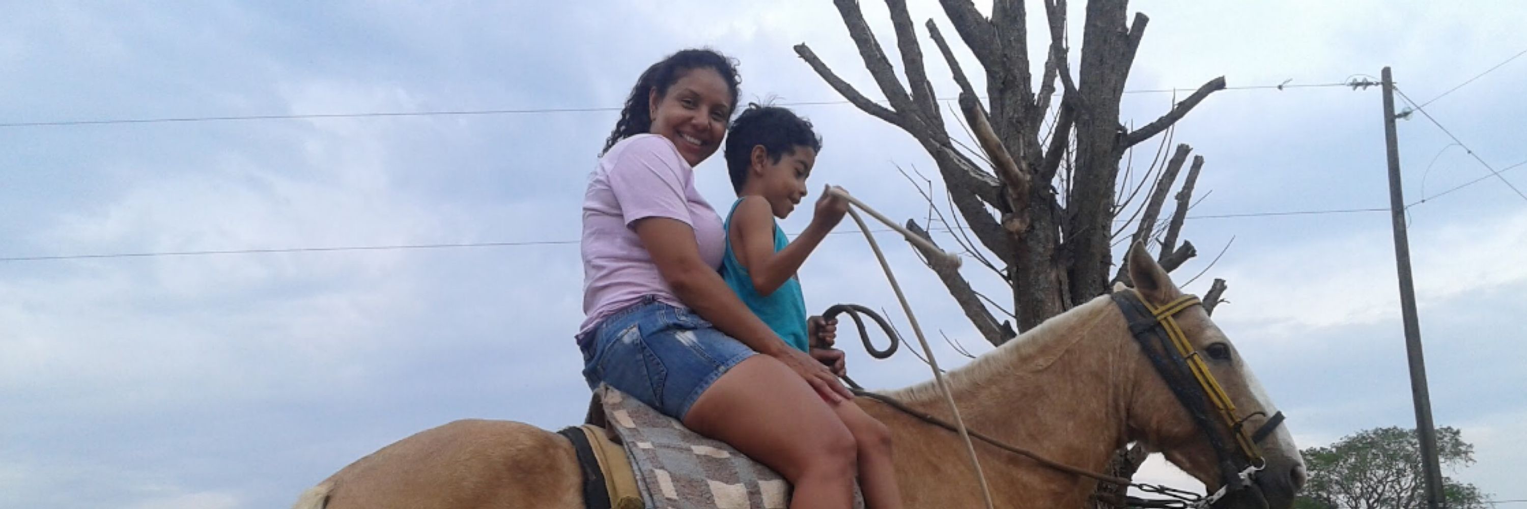 brunin