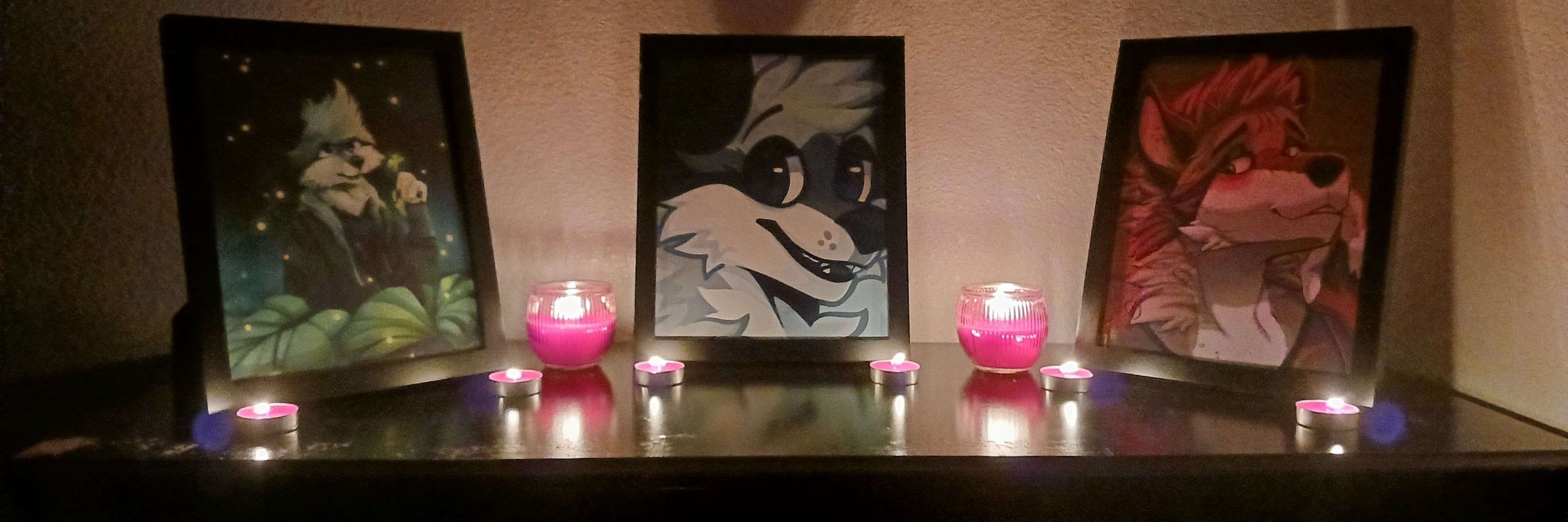 Fig Coyote