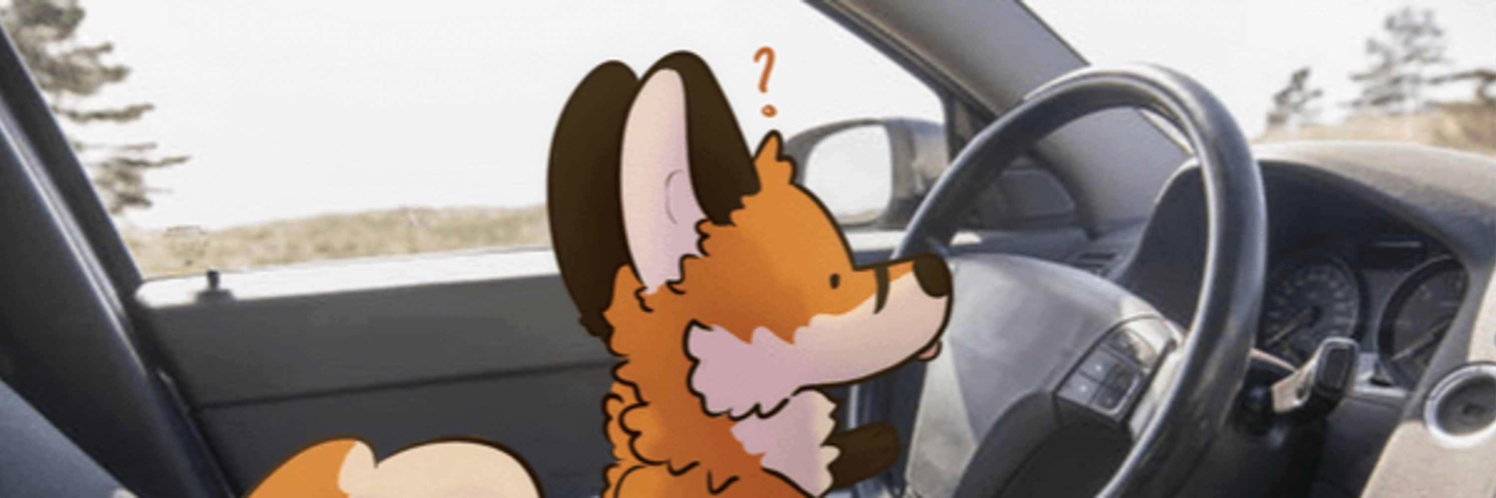 Fox-Box Paradox