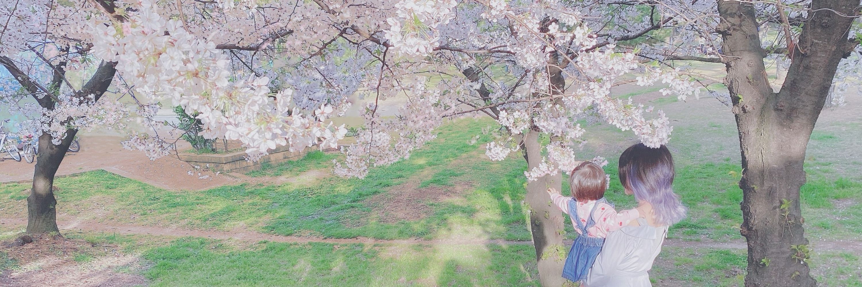 美心/mishin