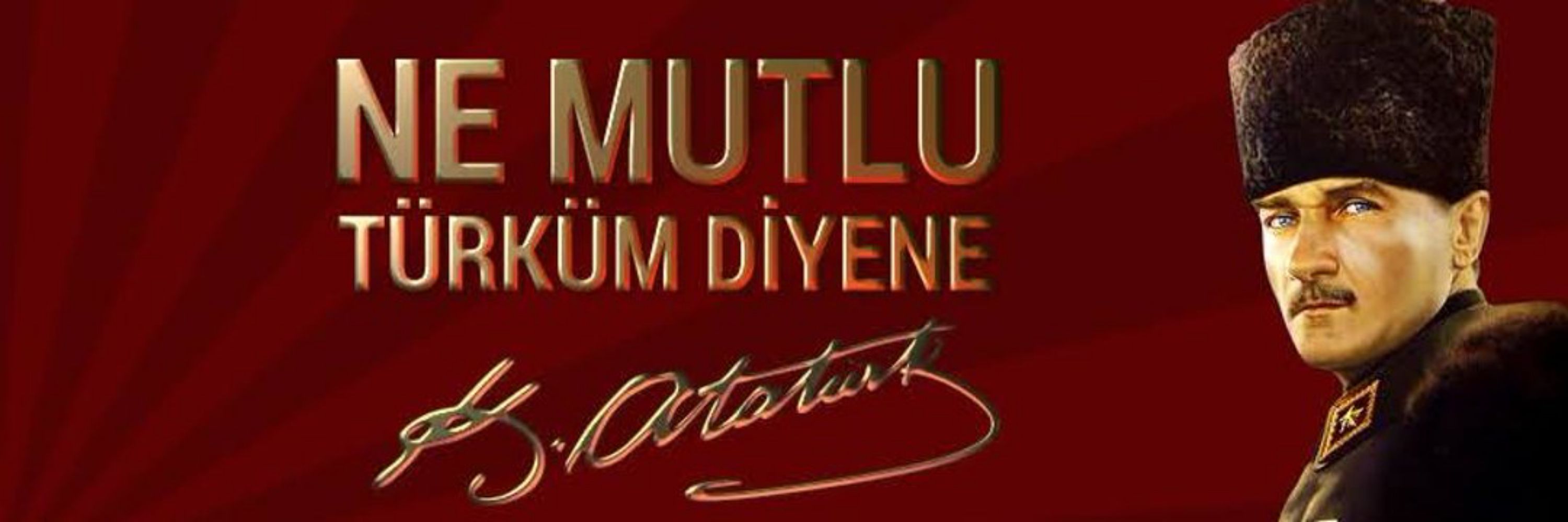 Mister Bıkkın