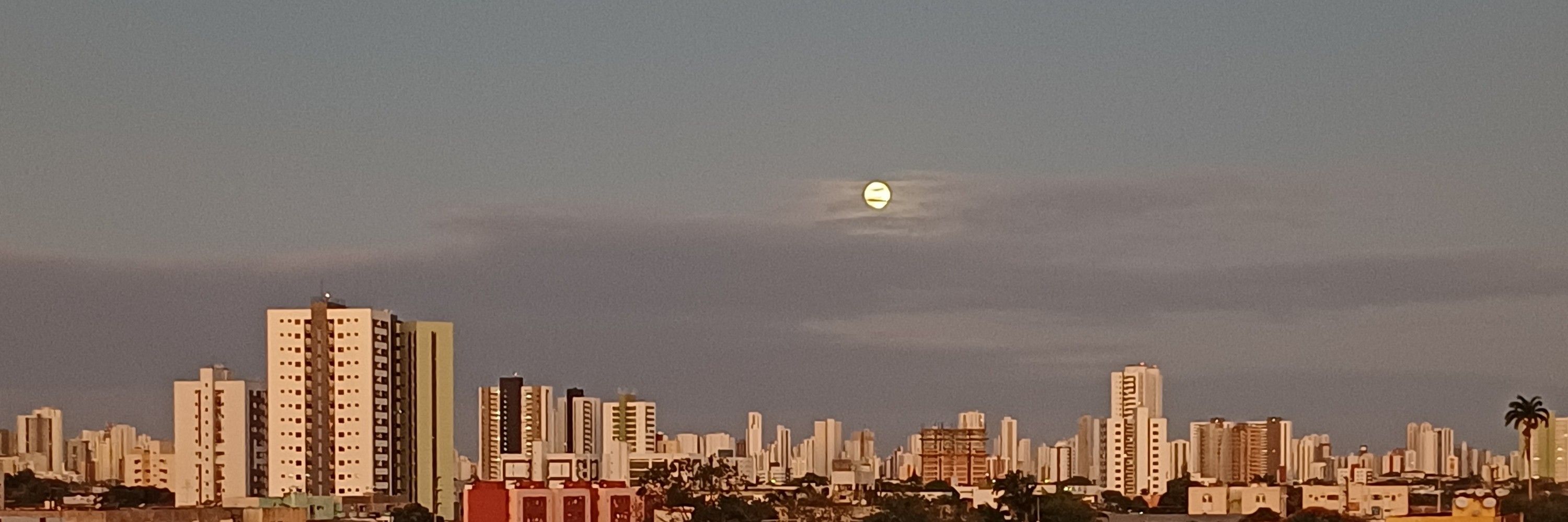 Eng. do 🌍 Apocalíptico 